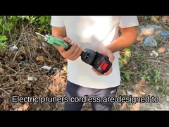 ২৫ মিমি ইলেকট্রিক ব্যাটারি প্রুনার