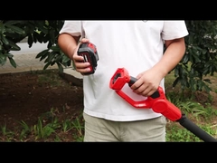 টেলিস্কোপিক স্টল চেইনসো