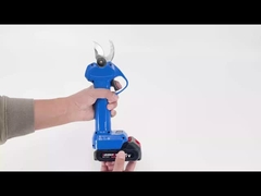 অস্টন AES20-3 প্রুনার