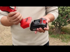 অস্টন AES20-4 প্রুনার