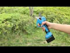 অস্টন AES30-3 প্রুনার