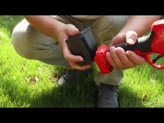 অস্টন AES40-4 প্রুনার