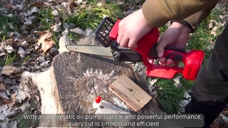 8 ইঞ্চি রিচার্জেবল ব্যাটারি চেইনসো