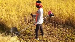 সব এক পেট্রল ব্রাশ কাটার এবং বাগান টুল